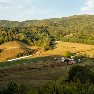 Spend a socially-distant day in the NC High Country!
