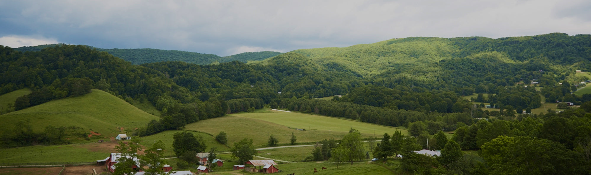Pasture raised beef in the Appalachian Mountains of North Carolina for generations
