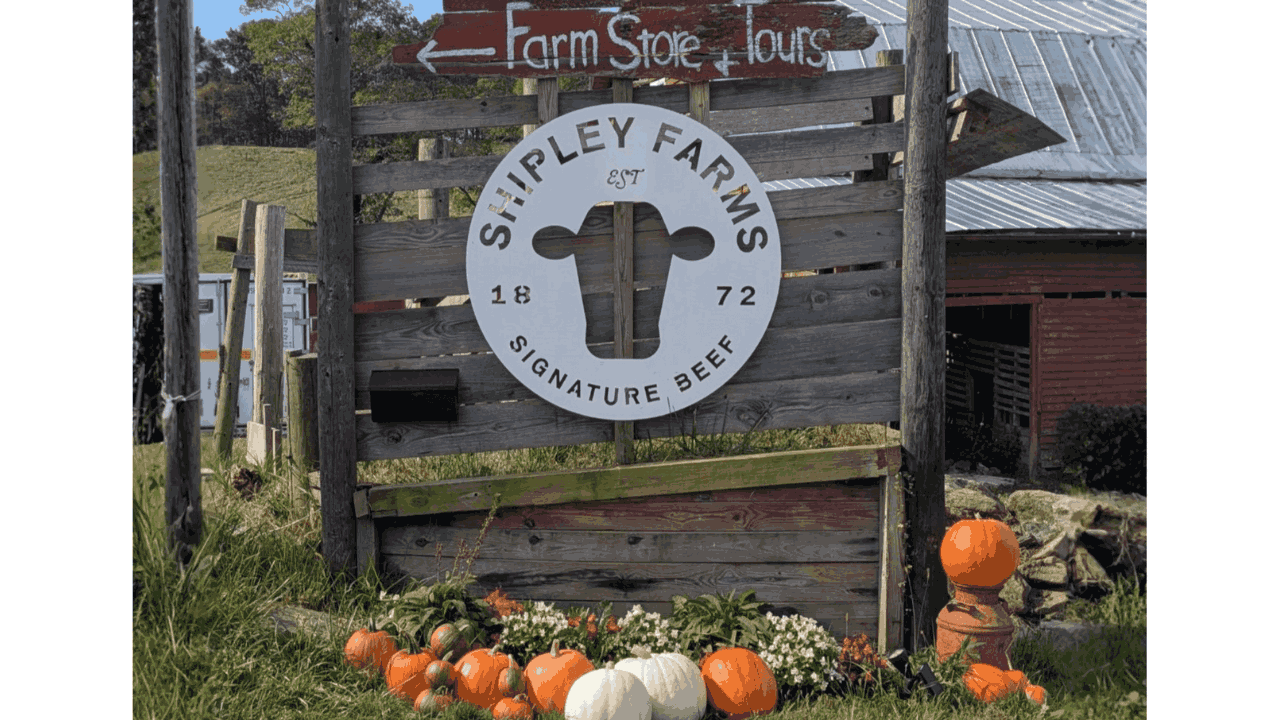 Top Qualities to Look for When Choosing a Local Butcher - Cover Image