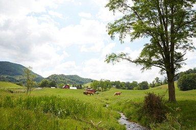 shipley farms beef north carolina appalachian grown pasture raised