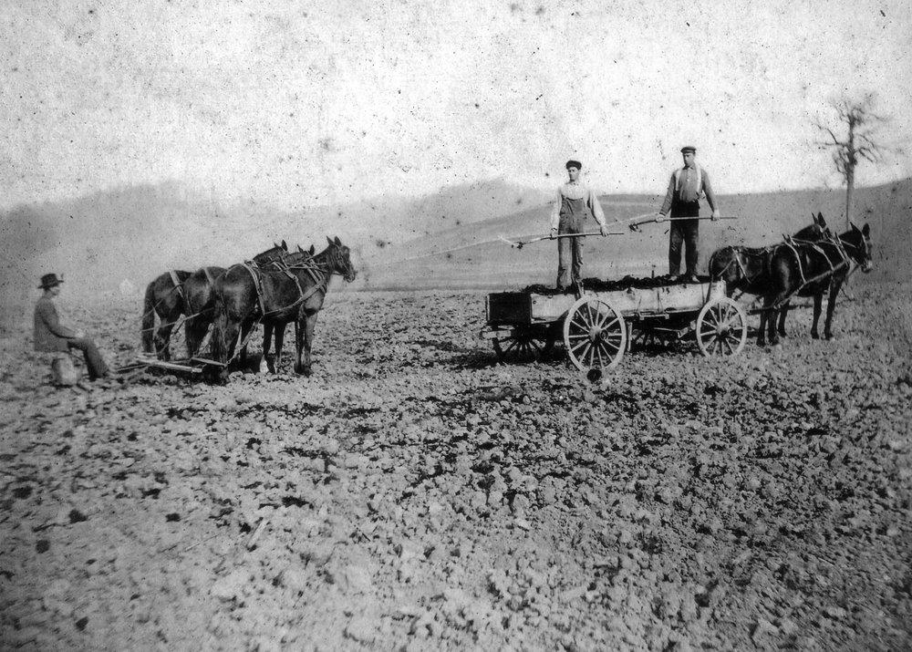 Huston Shipley circa 1900 working the land with a mule team and wagon in a plowed field