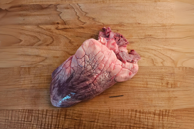 Beef Heart